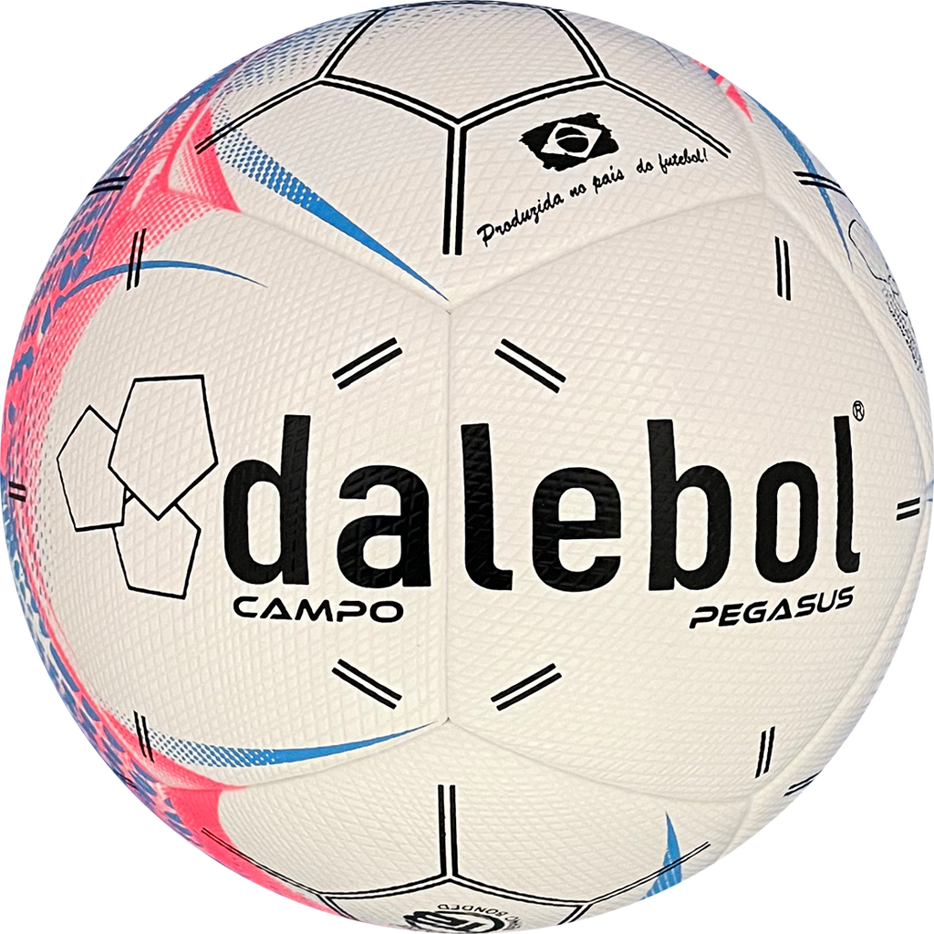 A bola oficial do Campeonato Estadual Rondoniense 2024